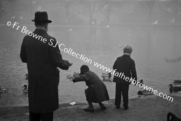 ST STEPHEN'S GREEN FEEDING  DUCKS